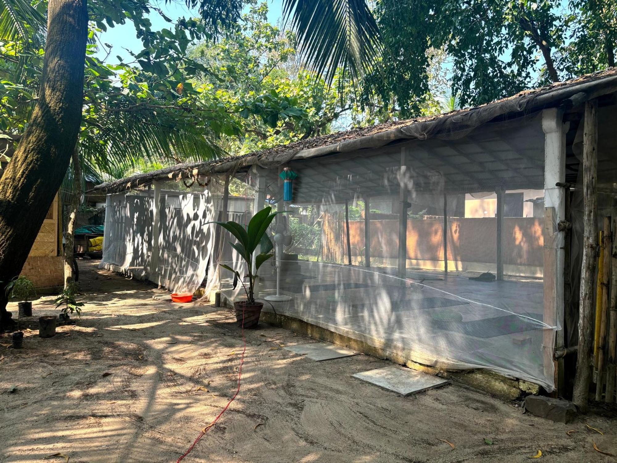 Hotel Ruban Yoga Palolem Exterior foto